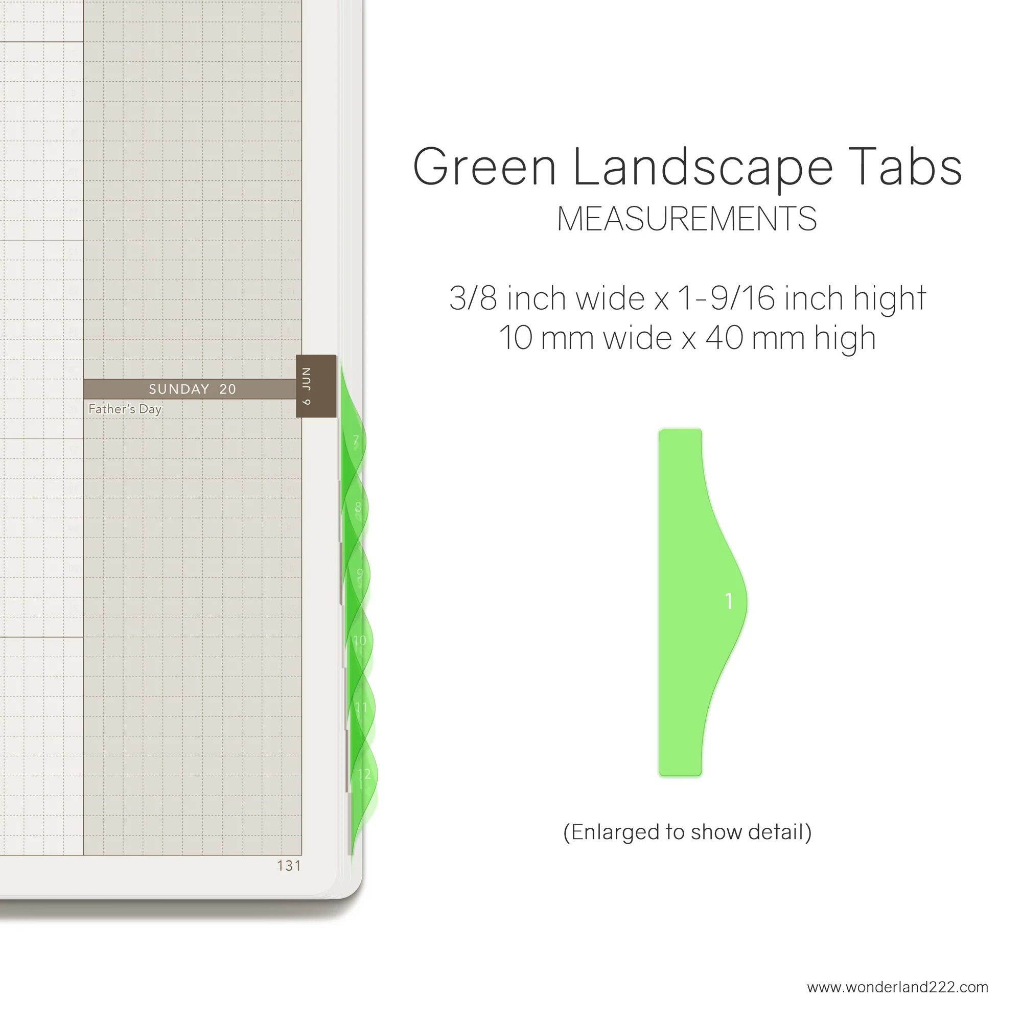 HighTide Landscape Monthly Index Tabs - Image 3