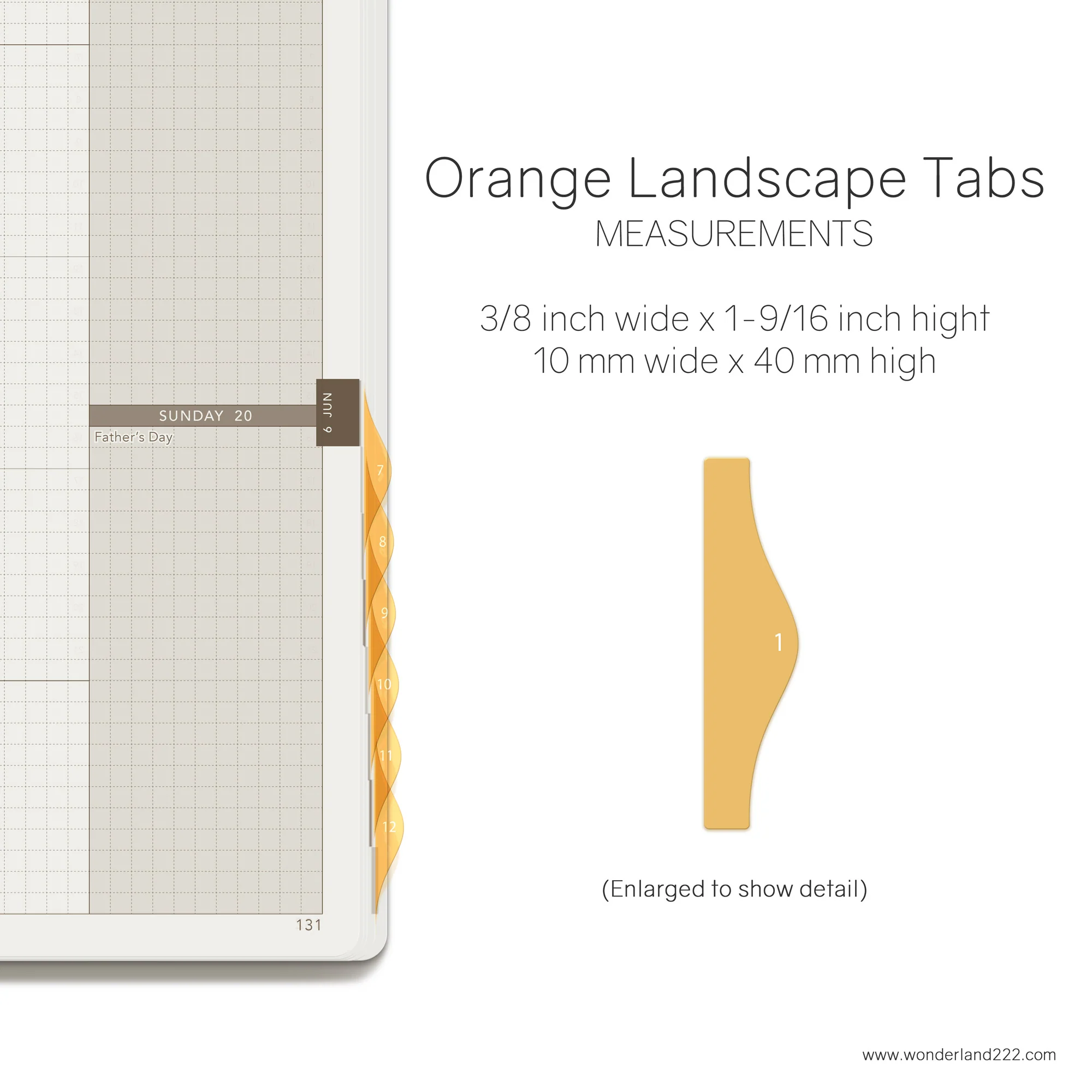 HighTide Landscape Monthly Index Tabs - Image 4