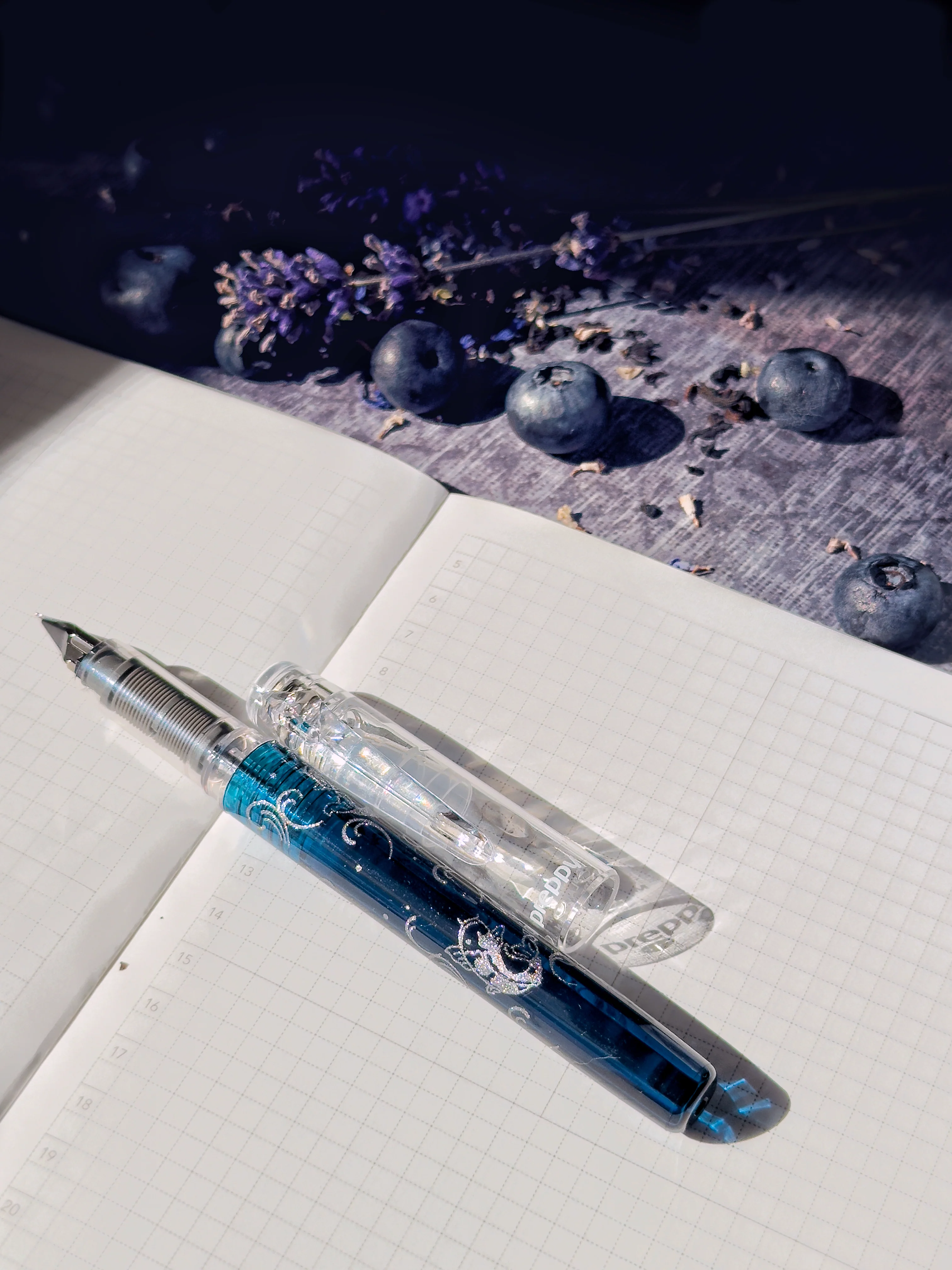 Platinum Fountain Pen | Preppy | Wa Maki-e | LIMITED EDITION - Image 15