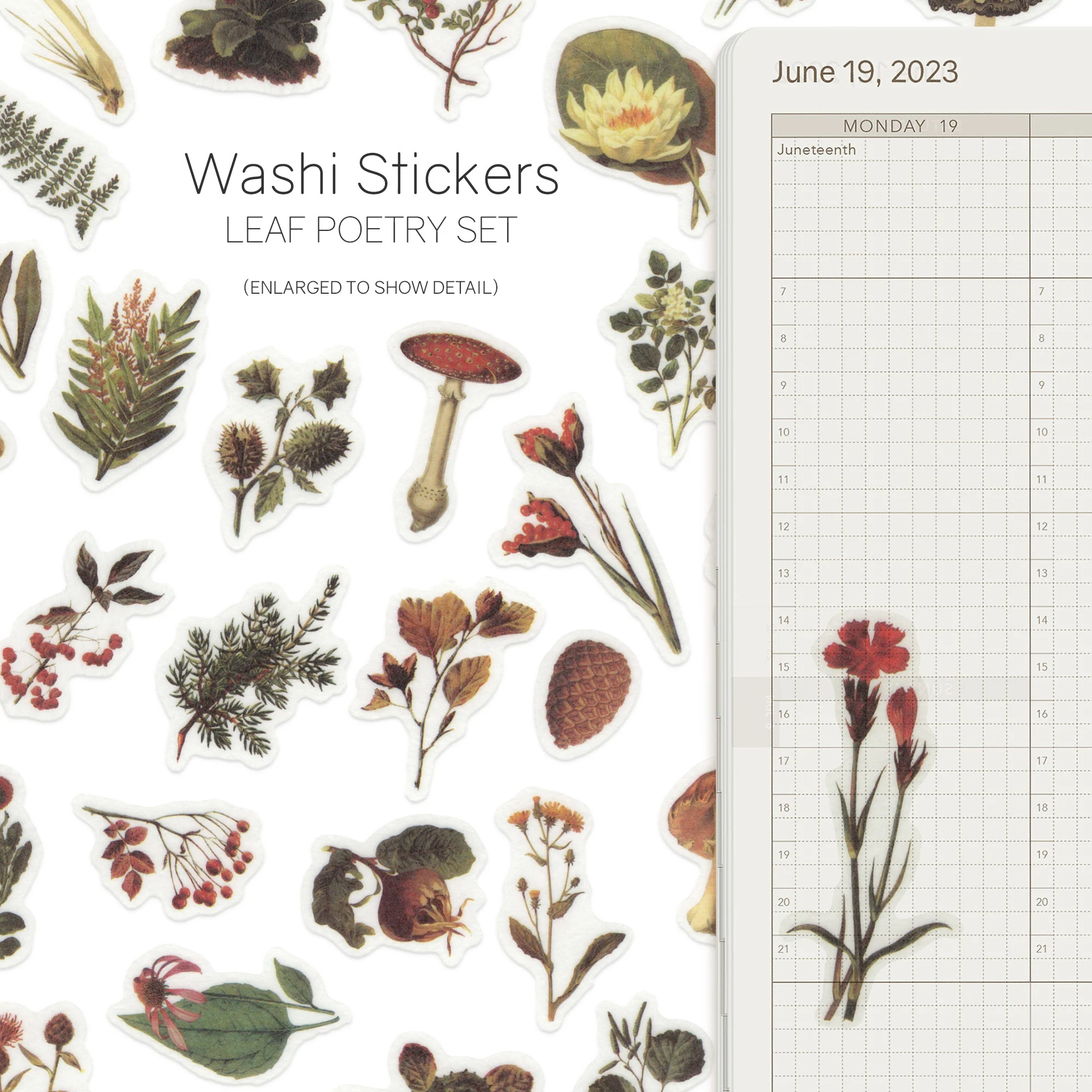 Watercolor - Washi Stickers - Image 15