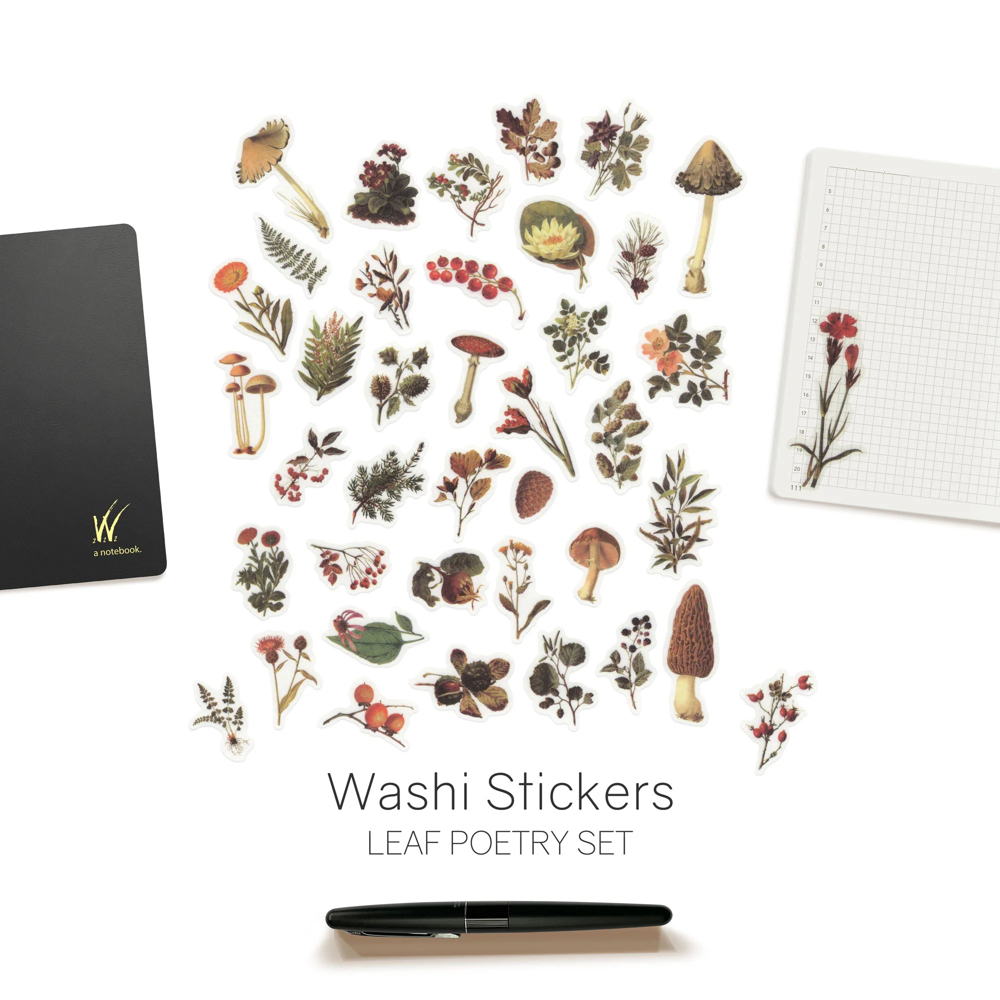 Watercolor - Washi Stickers - Image 8